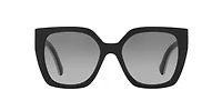 GG1300S