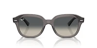RB4398 Erik
