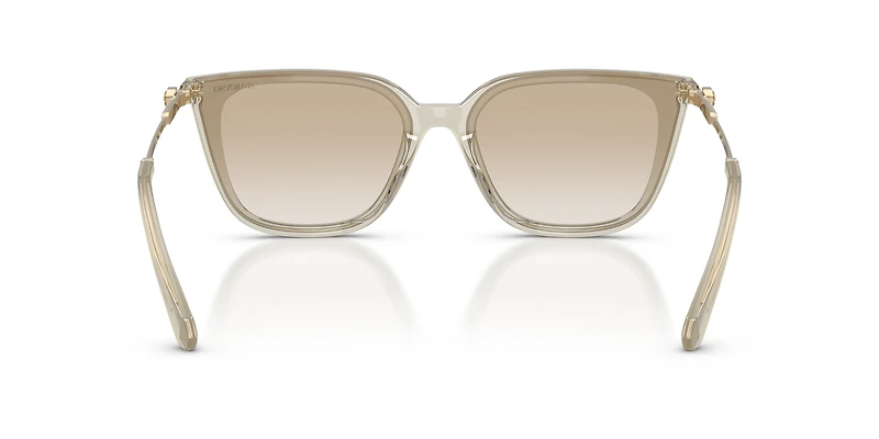 SK6054D