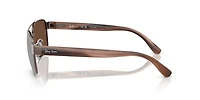 RB3751 Polarized+ Lenses