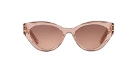 DiorSignature B7I