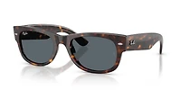 Mega Wayfarer II