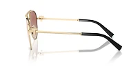 TF3101B