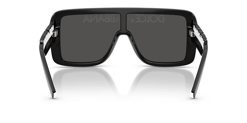 DG6204