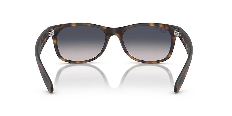 New Wayfarer Classic