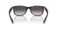 New Wayfarer Classic