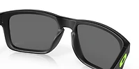 OO9102 Seattle Seahawks Holbrook™