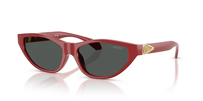 VE4491U