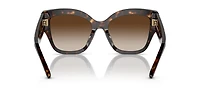 TY7184U