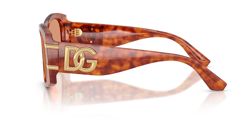 DG4501