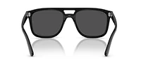 RB2213 Polarized+ Lenses