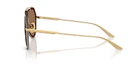 DG2309