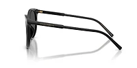 DG4540