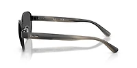 RB3766 Polarized+ Lenses