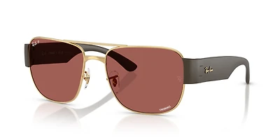 RB3756 Polarized+ Lenses