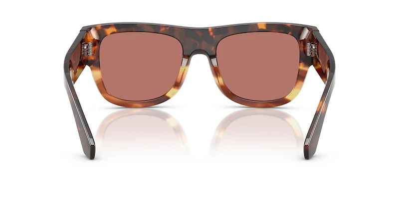 DG4484