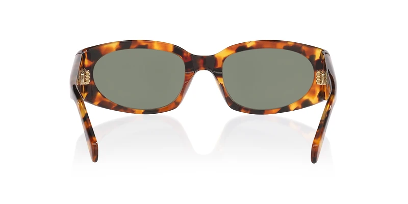 Celine Defile CL40347U