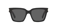 SL 507