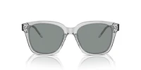 AR8210U