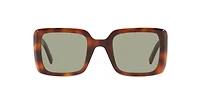 SL 497-002