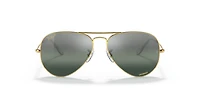 Aviator Polarized+ Lenses