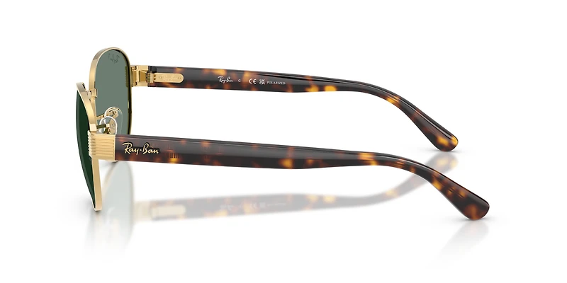 RB3766 Polarized+ Lenses