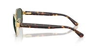 RB3766 Polarized+ Lenses