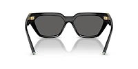 TF4205U