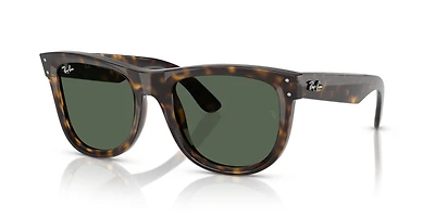 Wayfarer Reverse