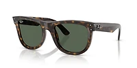 Wayfarer Reverse