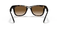 Wayfarer Folding Classic