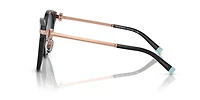 TF4193BF