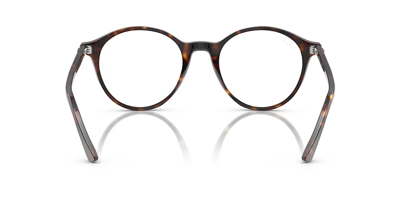 RB2230 Transitions®