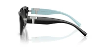 TF4238U