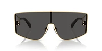 DG2305