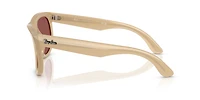 RBR0502S Wayfarer Reverse