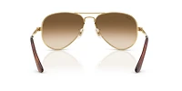 AVIATOR MAX