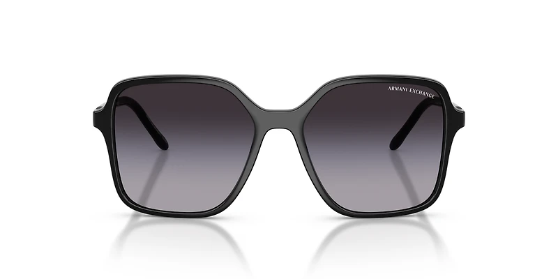 AX4163S
