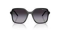 AX4163S