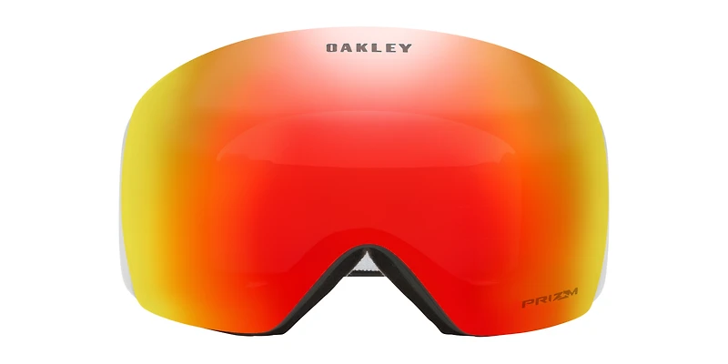 Flight Deck™ L Snow Goggles