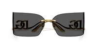 DG2319