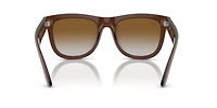 Wayfarer Reverse