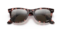 Original Wayfarer Polarized+ Lenses