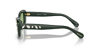 SK6008