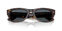 Mega Wayfarer II
