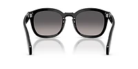 PO0082S