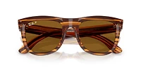 Wayfarer Reverse