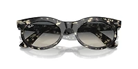 Wayfarer Oval
