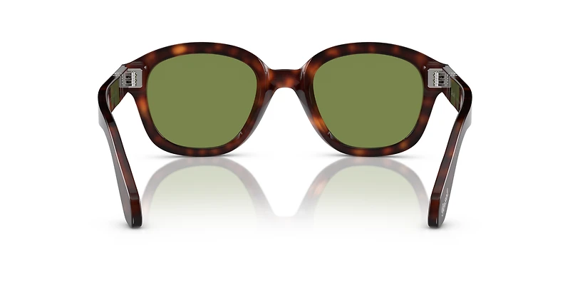 PO0060S