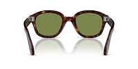 PO0060S